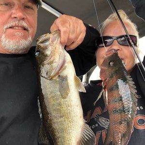 Meet your Posher, Dave